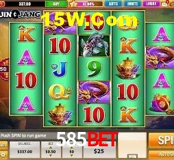 Recursos de Bônus 585Bet